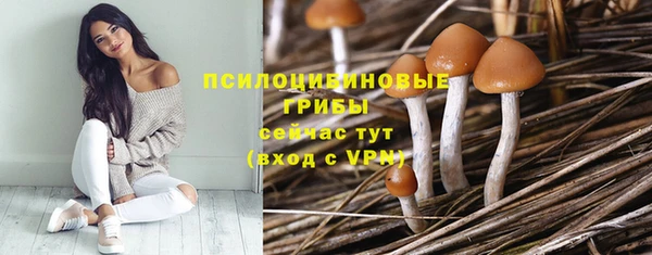 бутират Богородицк
