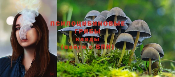 бутират Богородицк