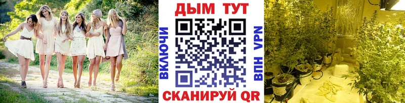 Купить  Братск  Канабис гибрид 